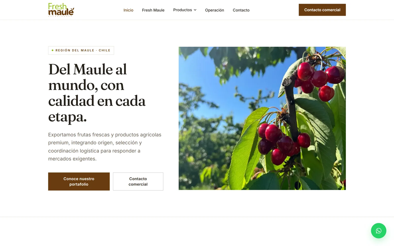 Sitio web de Fresh Maule hecho por R Medios